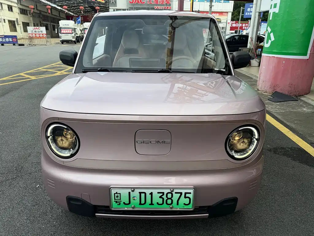 Galaxy Panda 2023