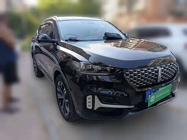 Wey VV6 2020