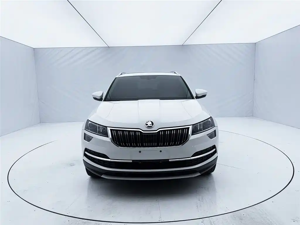 Skoda Karoq 2021 — фото 2