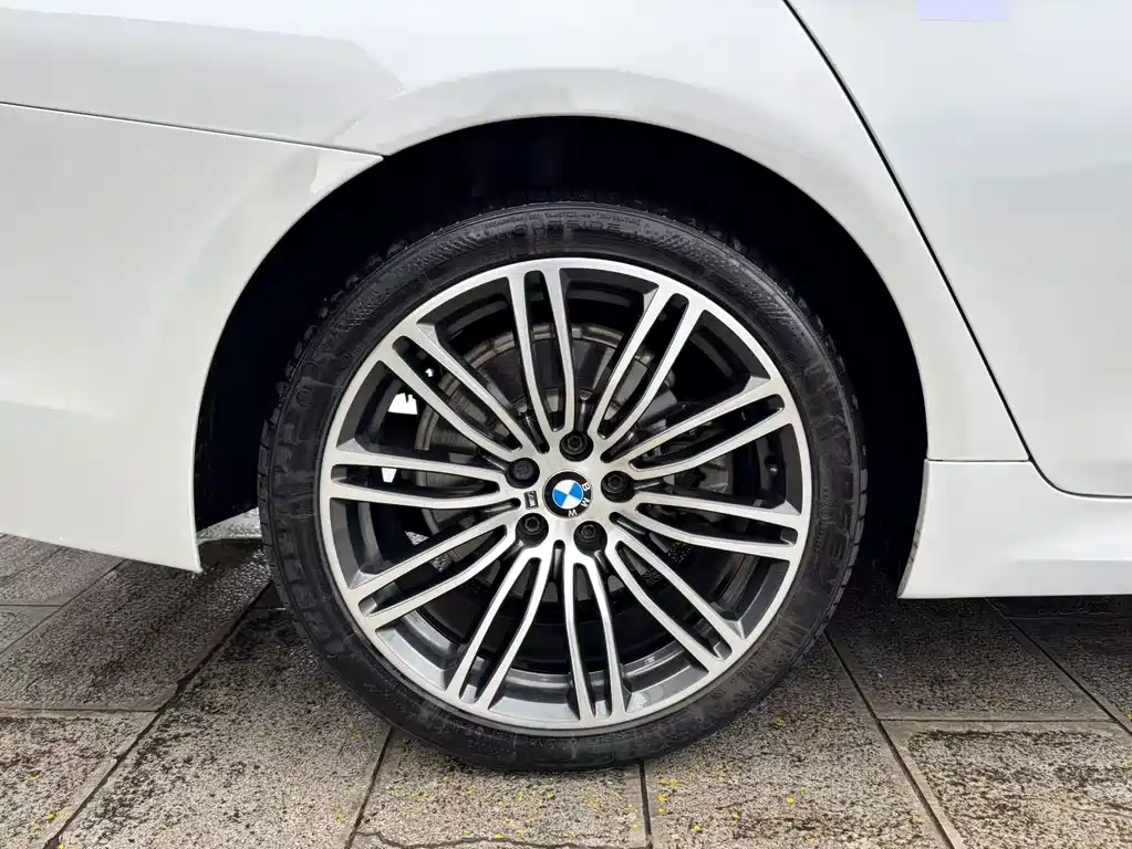 BMW 5 Series 2017 — фото 19