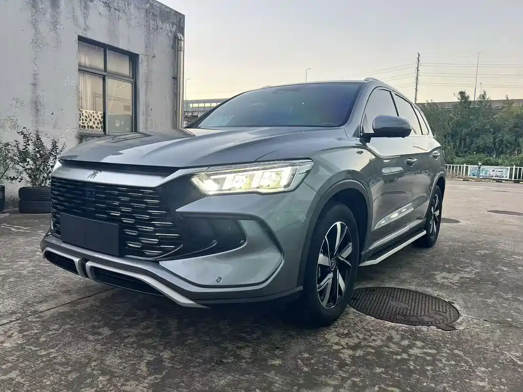 BYD Song Pro New Energy 2024 — фото 1