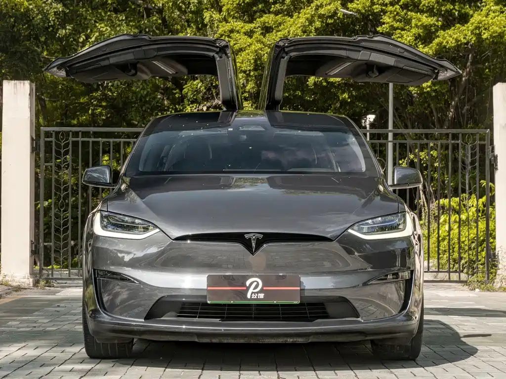 Tesla Model X 2024 — фото 2