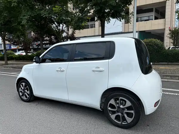 Ora White Cat 2021