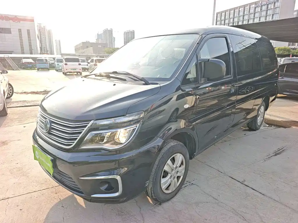 Fengxing Lingzhi 2020