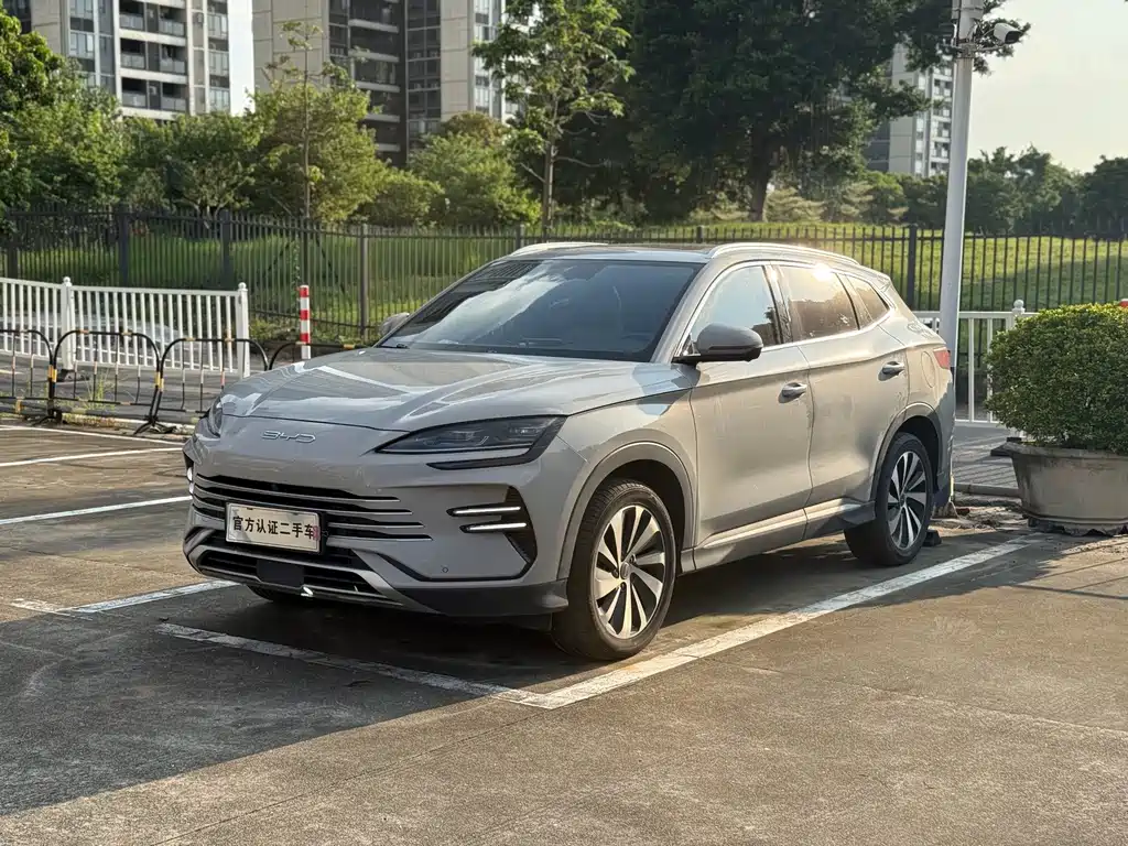 BYD Song PLUS New Energy 2024 — фото 1