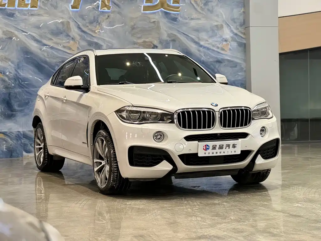 BMW X6 2017 — фото 3
