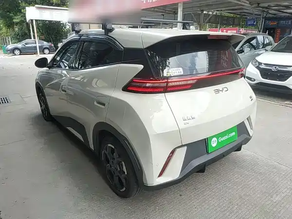 BYD Seagull 2024