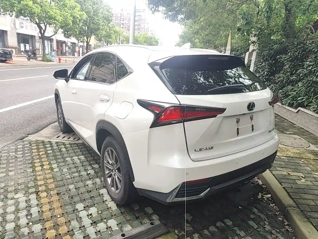Lexus NX 2020 — фото 23