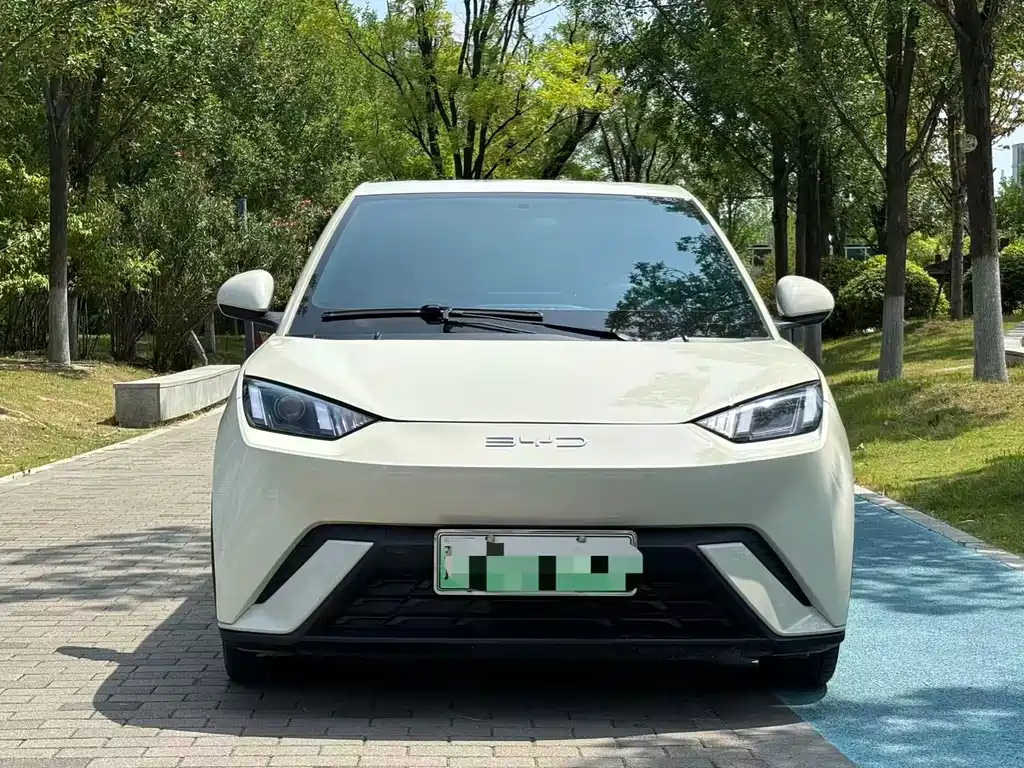 BYD Dolphin 2025