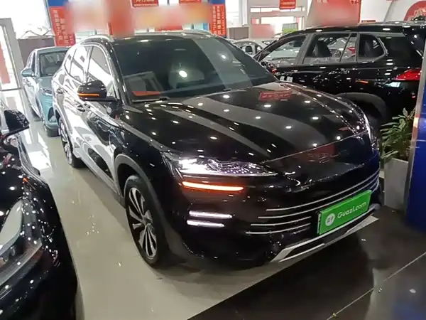 BYD Song PLUS New Energy 2024