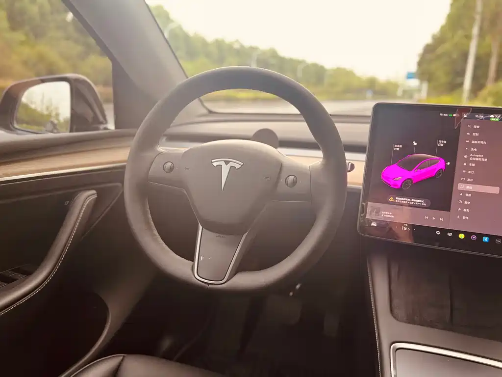 Tesla Model Y 2021 — фото 16