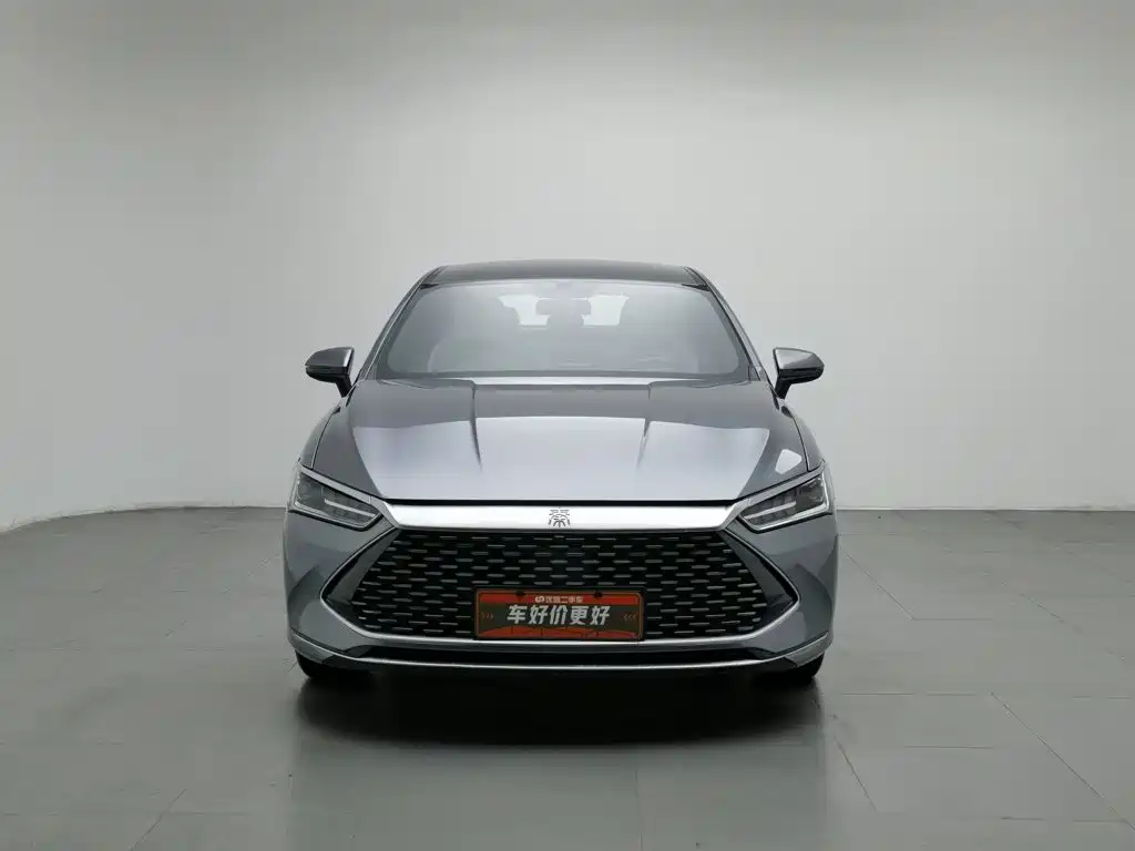 BYD Qin PLUS 2024 — фото 3