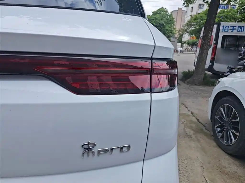 BYD Pro New Energy 2024 — фото 8