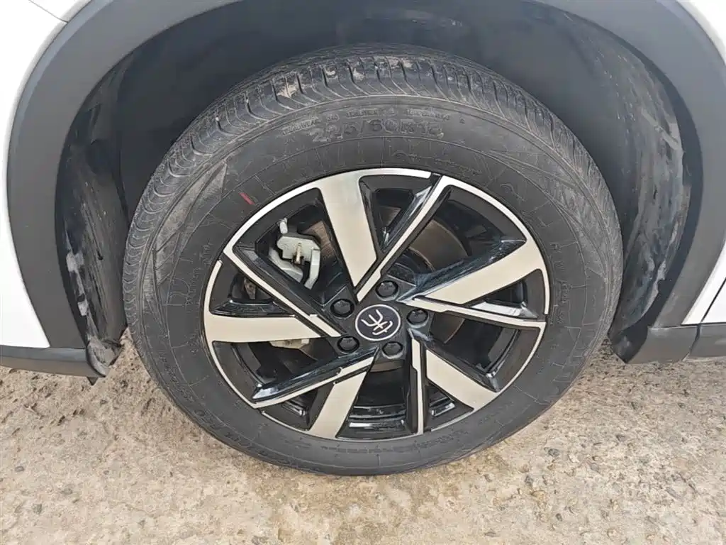 BYD Pro New Energy 2024 — фото 23