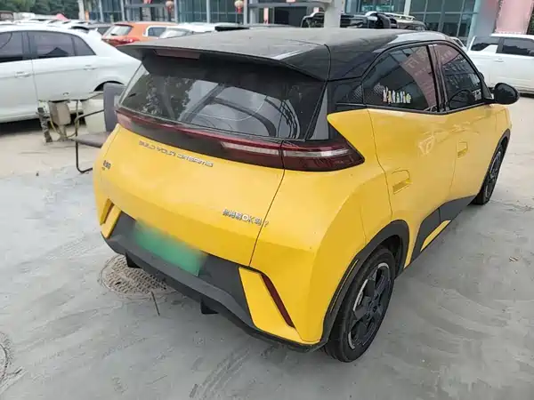 BYD Seagull 2024
