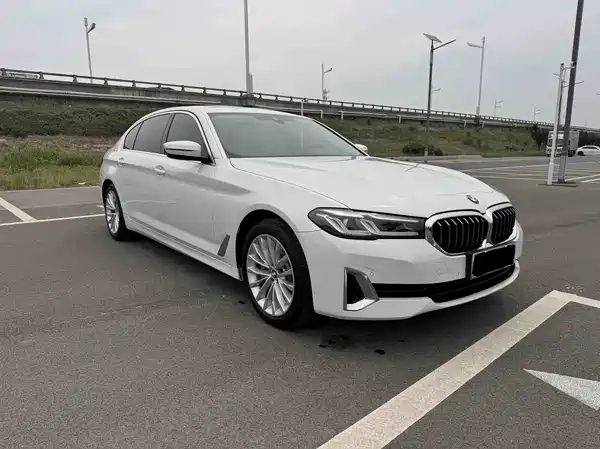 BMW 5 Series New Energy 2021