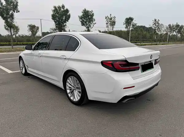 BMW 5 Series New Energy 2021