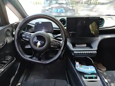 BYD Dolphin 2025