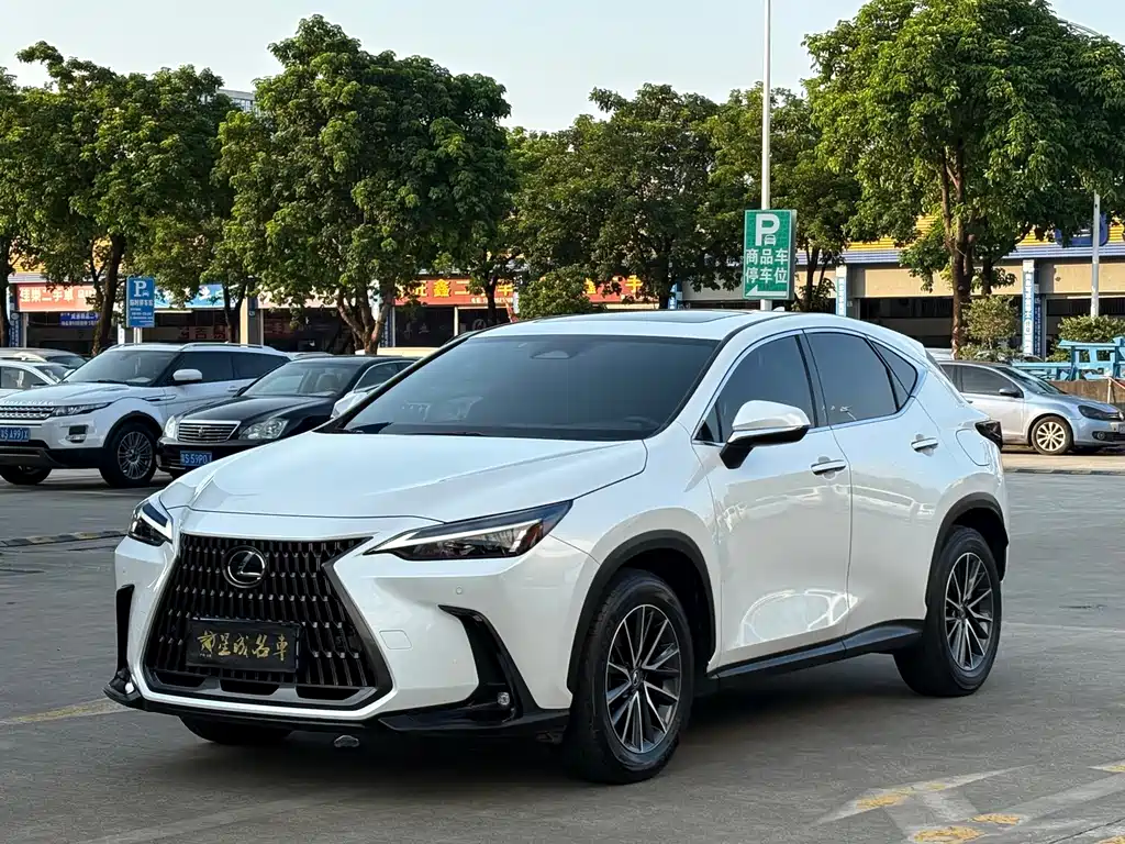 Lexus NX 2024 — фото 1