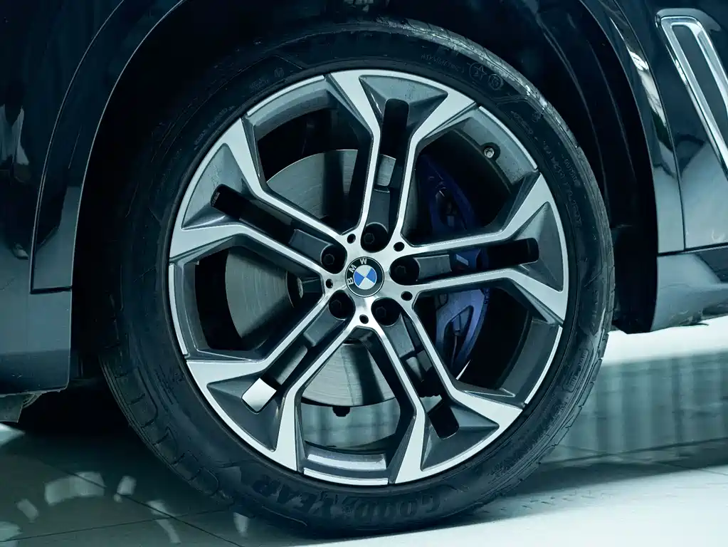 BMW X5 2023 — фото 12