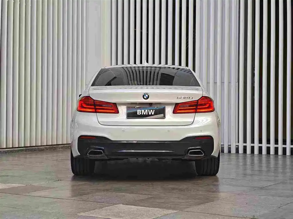 BMW 5 Series 2020 — фото 14