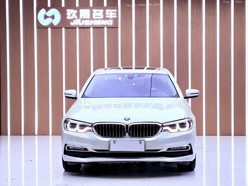 BMW 5 Series New Energy 2018