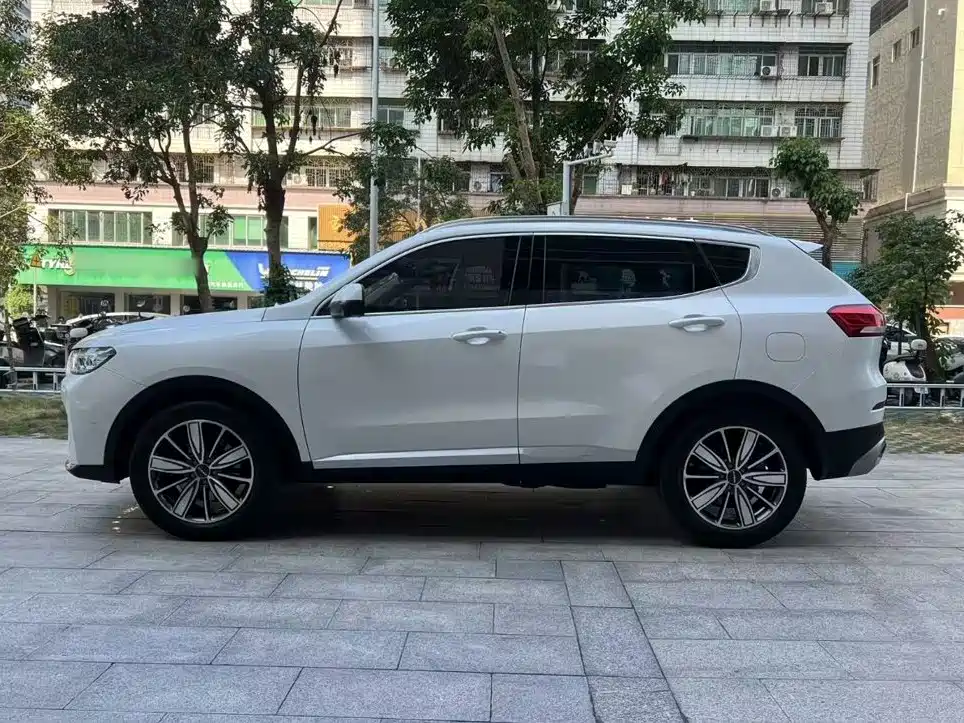 Haval H6 2021 — фото 5