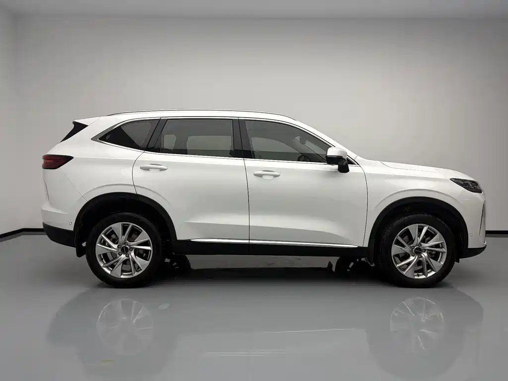 Haval H6 2020 — фото 8