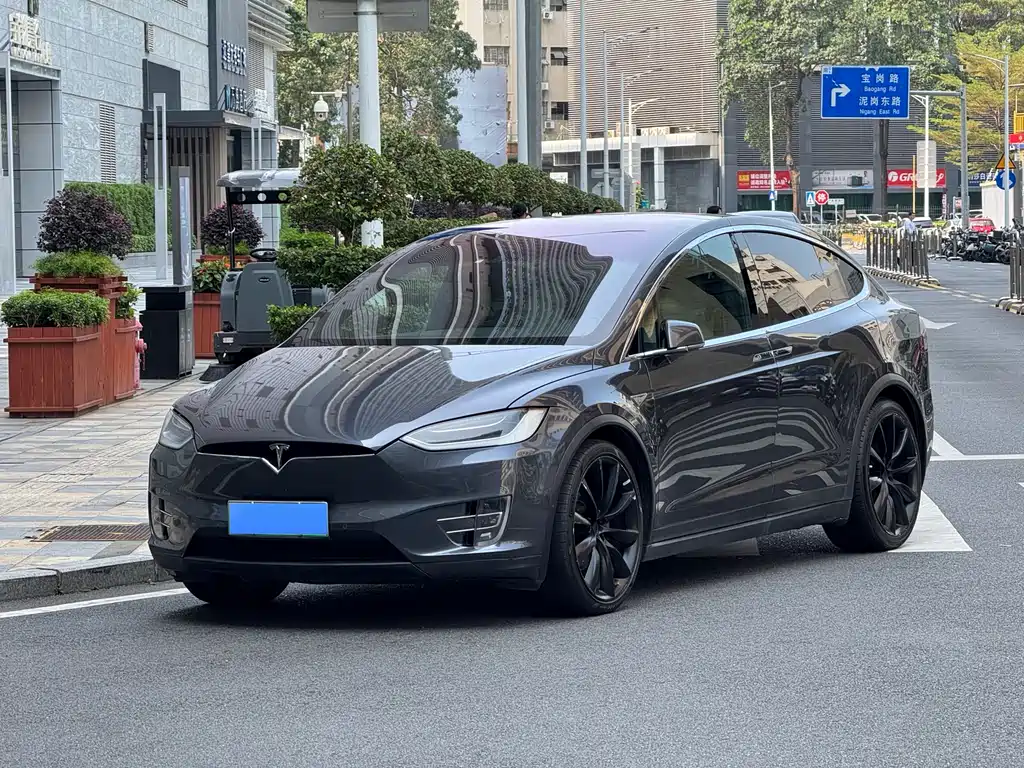 Tesla Model X 2016 — фото 1