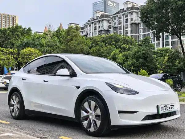 Tesla Model Y 2021