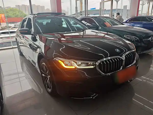BMW 5 Series New Energy 2021