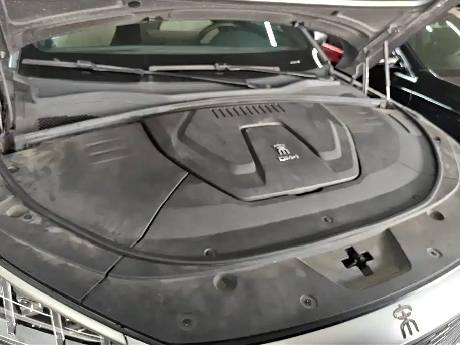 BYD PLUS New Energy 2022 — фото 10