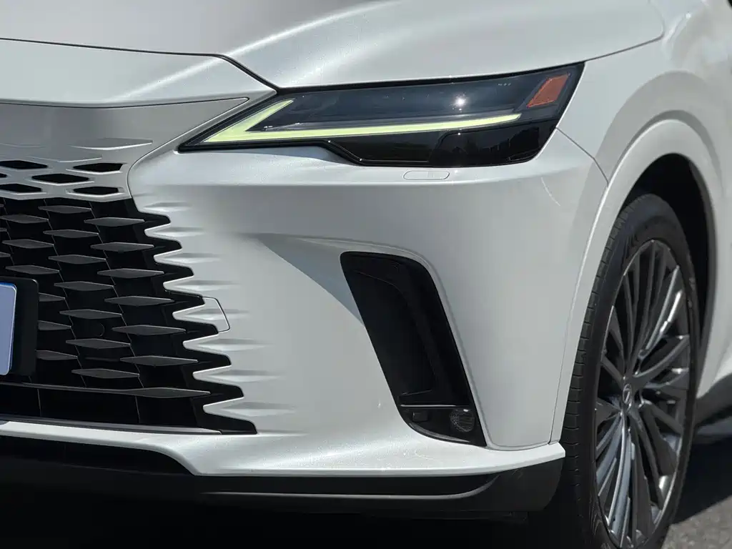 Lexus RX 2023 — фото 15