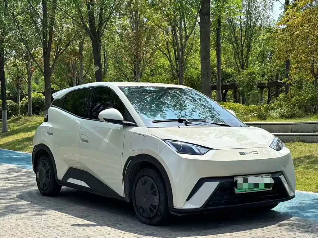 BYD Dolphin 2025