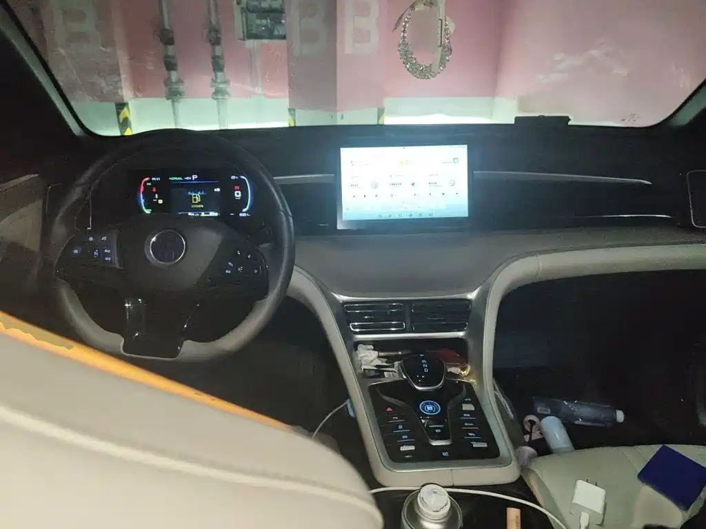 BYD Song Pro New Energy 2025 — фото 13