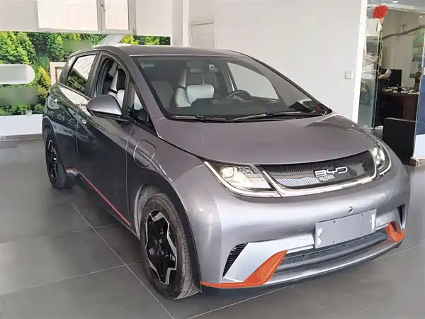 BYD Dolphin 2021