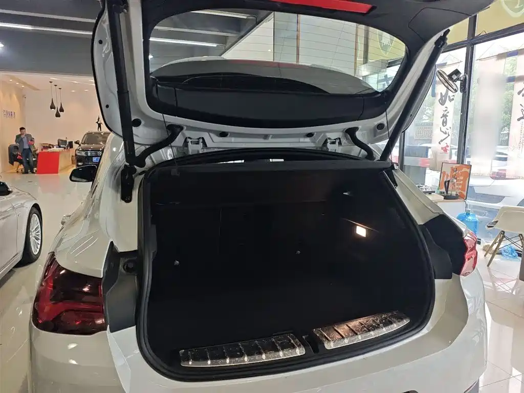 BMW X2 2021 — фото 10