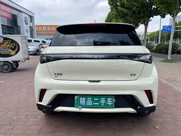 BYD Dolphin 2024