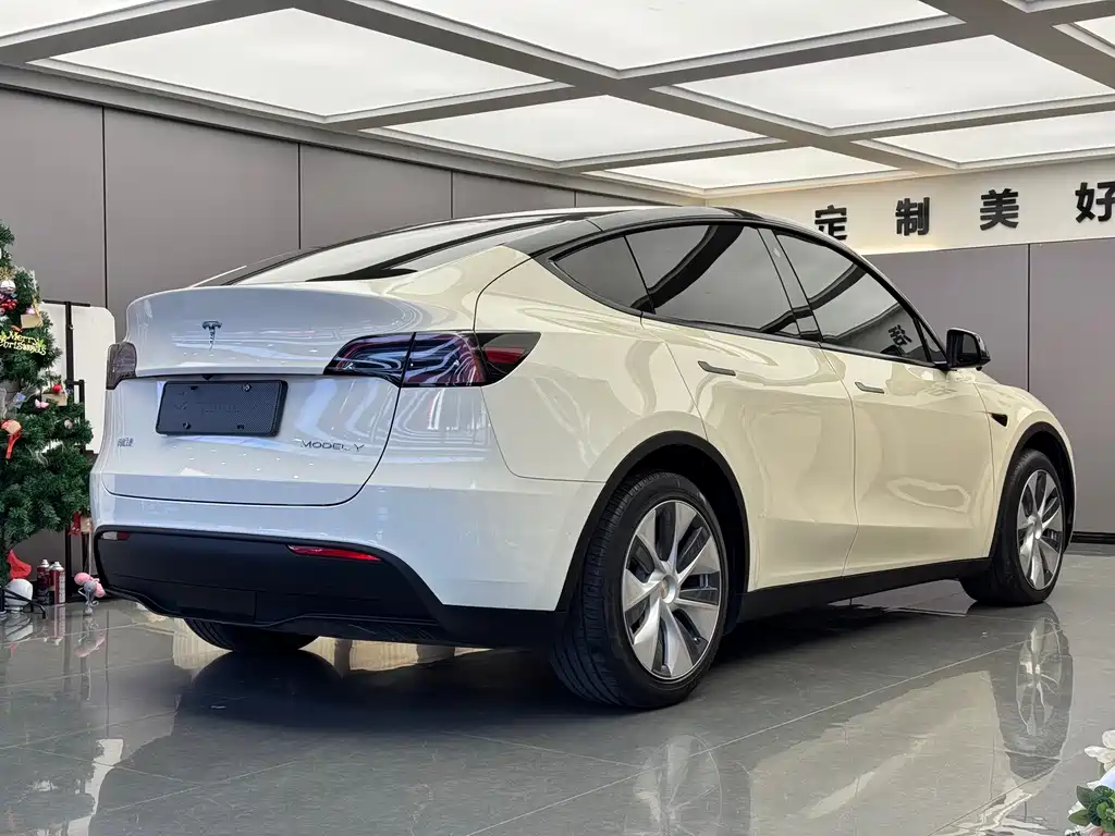 Tesla Model Y 2023 — фото 12