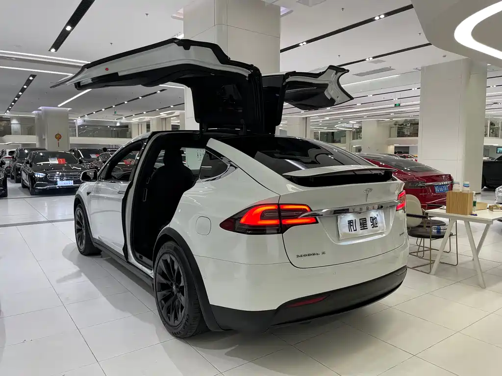 Tesla Model X 2017 — фото 3
