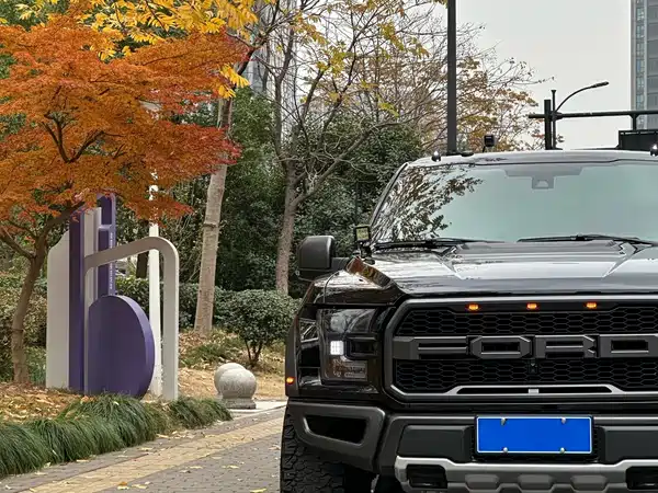 Ford F-150 Raptor 2018