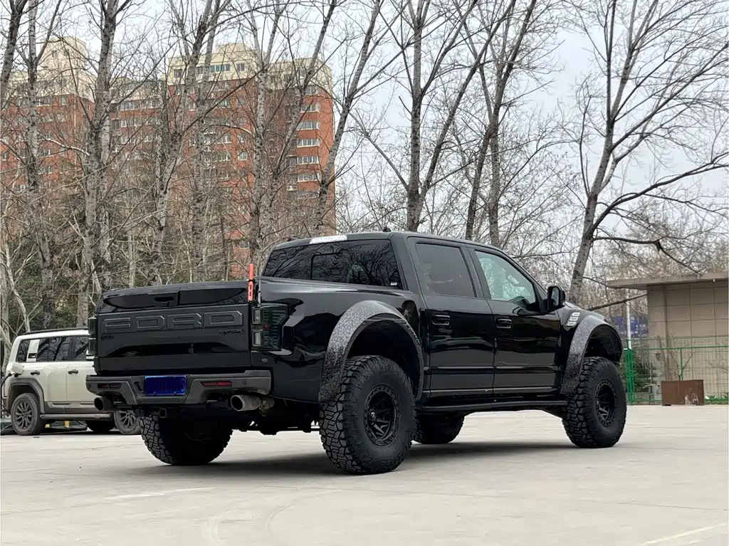 Ford F-150 Raptor 2020 — фото 19