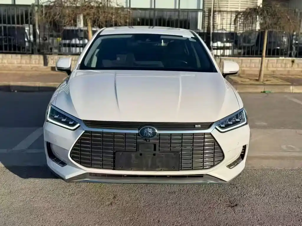 BYD Qin Pro NEV 2019 — фото 2