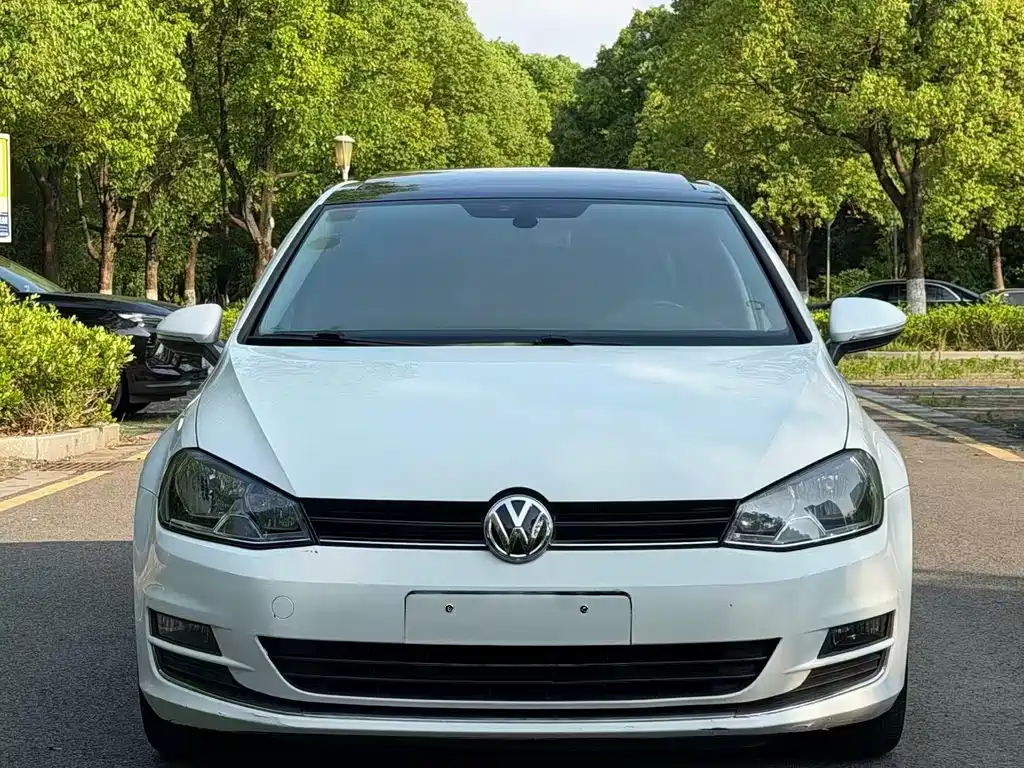 Volkswagen Golf 2014 — фото 2