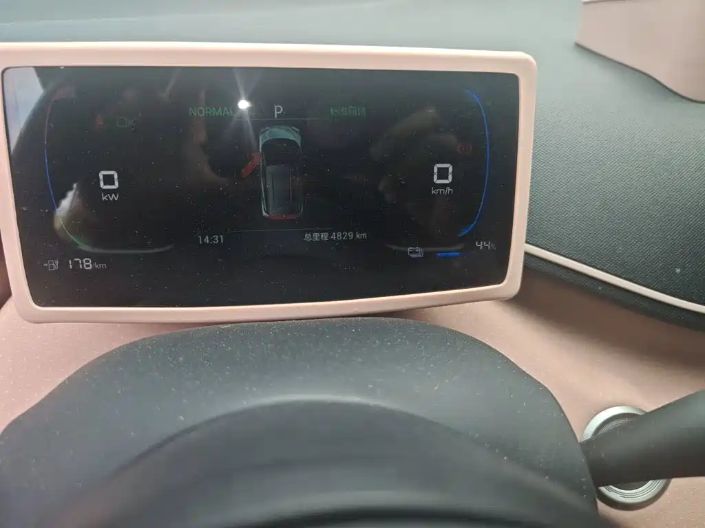 BYD Seagull 2024