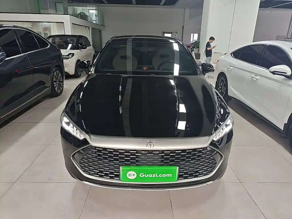 BYD Qin PLUS 2024 — фото 3