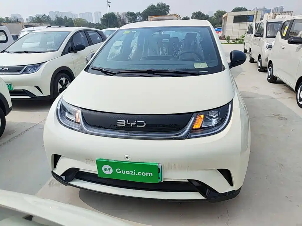 BYD Dolphin 2026