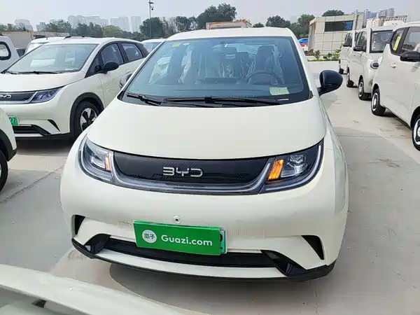 BYD Dolphin 2026