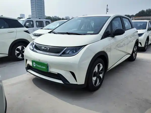 BYD Dolphin 2026