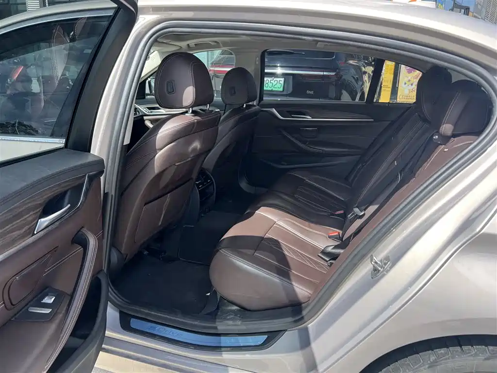 BMW 5 Series New Energy 2018